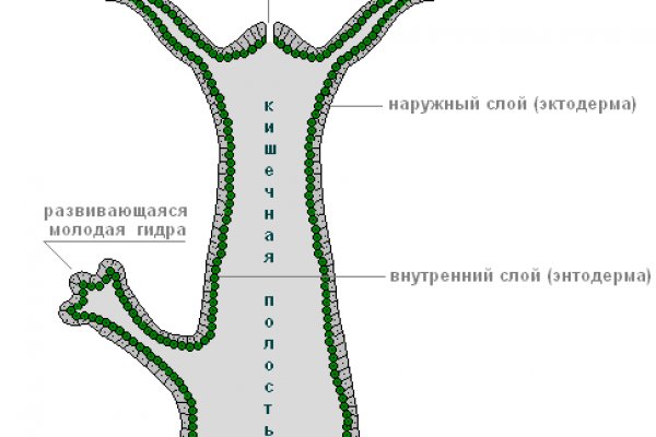 Кракен наркоторговля