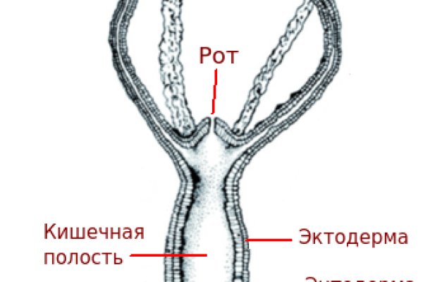 Кракен маркетплейс kr2web in площадка