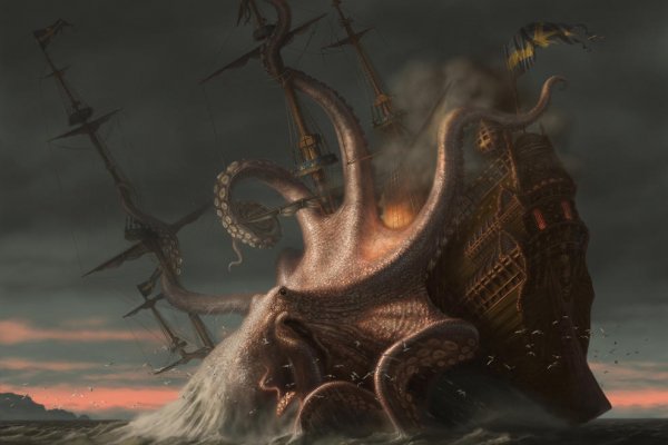 Kraken kraken link24 info