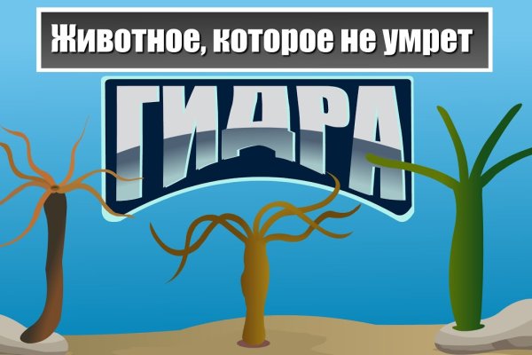 Кракен даркнет рабочая